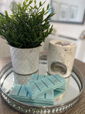 Baby Powder Wax Melts Soft, Soothing & Full Of Comfort